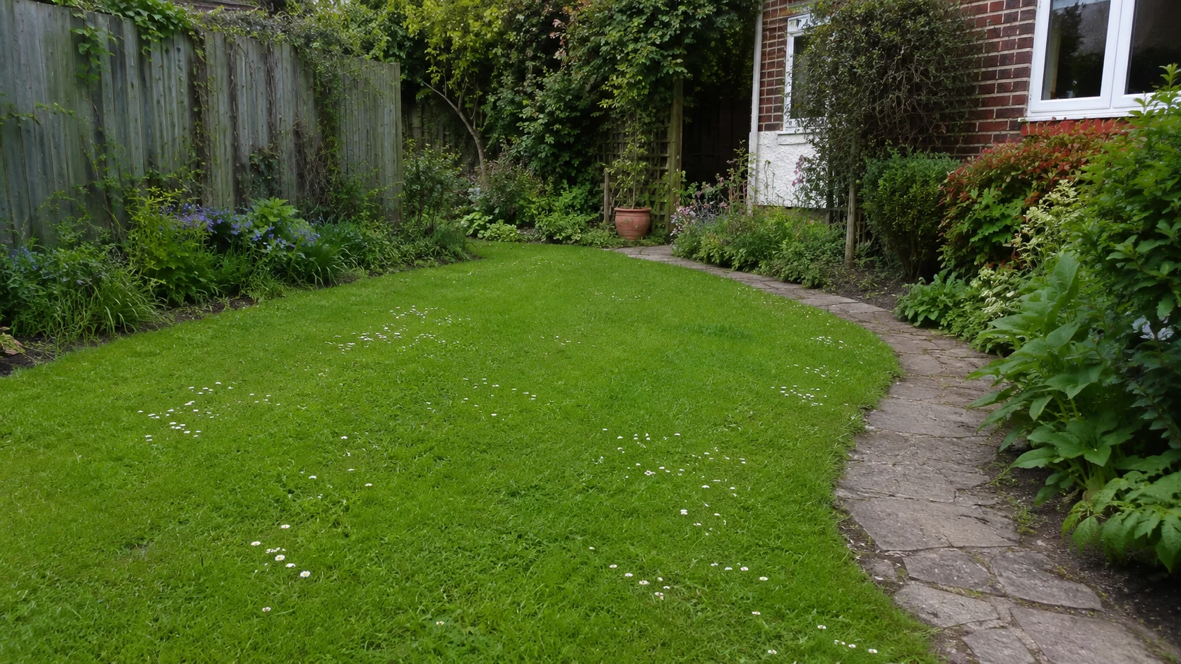 Dichter, strapazierfähiger Gebrauchsrasen in einem Hausgarten